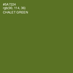 #5A7224 - Chalet Green Color Image